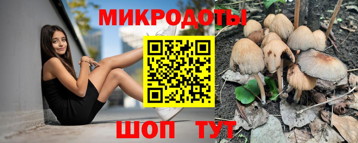 Псилоцибиновые грибы мицелий Бузулук